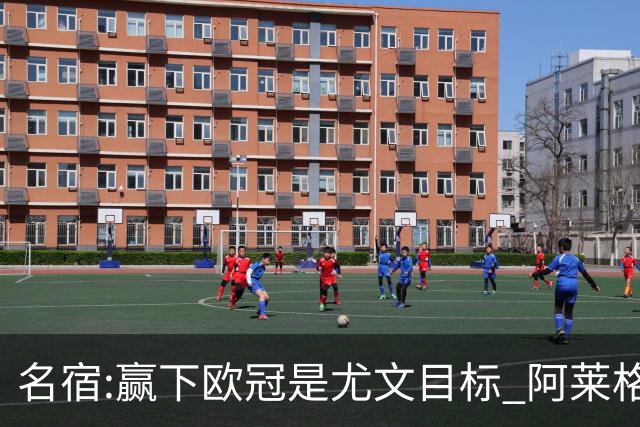 名宿:赢下欧冠是尤文目标 阿莱格里会完成重建